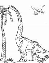 Dinosaur Sauroposeidon Patagotitan Mozart Dinosaurs sketch template