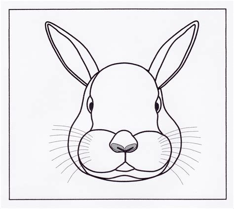 rabbit face sketch  paintingvalleycom explore collection  rabbit