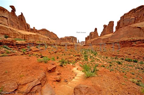 Arches National Park Last Man On The Trail