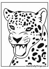 Jaguars sketch template