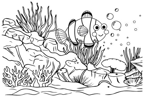 clownfish color sheets coloring page  printable coloring pages