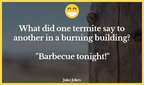 44 termite jokes and funny puns jokojokes