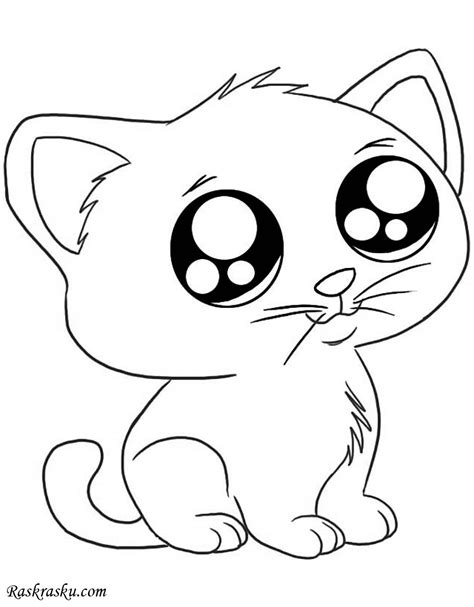 cute kitten pictures  color kitten outline coloring page coloring