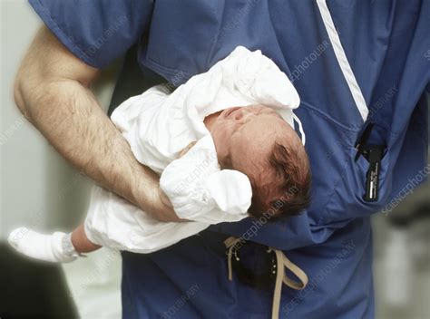 premature baby stock image  science photo library
