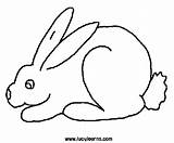Bunny Coloring Rabbit Pages sketch template