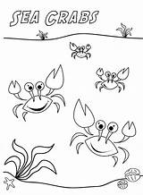 Crabe Crabes Coloriages Primaire Moana sketch template
