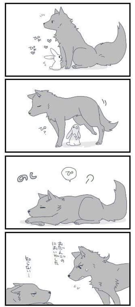 73 best images about wolf and bunny on pinterest wolves chibi and posts
