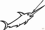 Espada Pez Dibujo Swordfish Schwertfisch Pesce Spada Vela Pescespada Pesci Gratuito Stampabile Animales sketch template