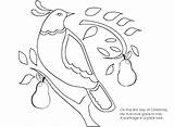 Days Christmas Coloring Pages Twelve Getcolorings Print Color sketch template
