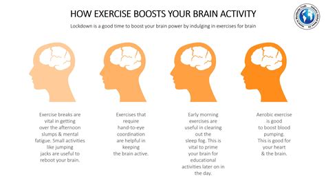 exercise increases  intelligence  fact base