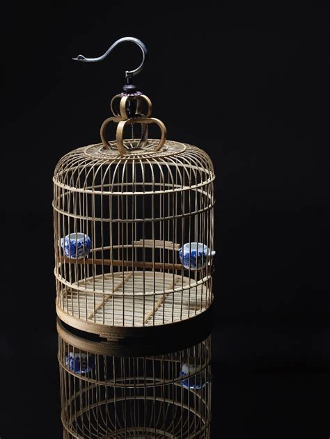 saving money  bird cages thriftyfun