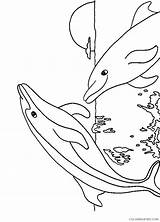 Dolphin Coloring Pages Dolphins Printable Kids Coloring4free Sunset Drawing Painting Whale Number Sea Paint Shark Grade 5th Print Fish Cute sketch template