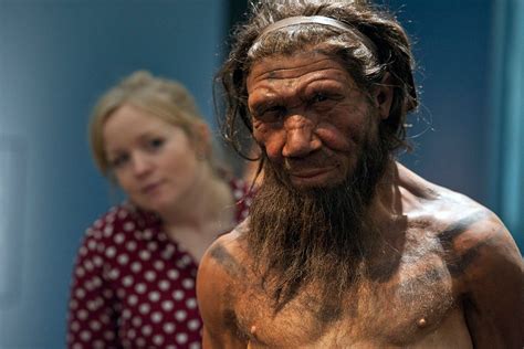 Missing Y Chromosome Kept Us Apart From Neanderthals New