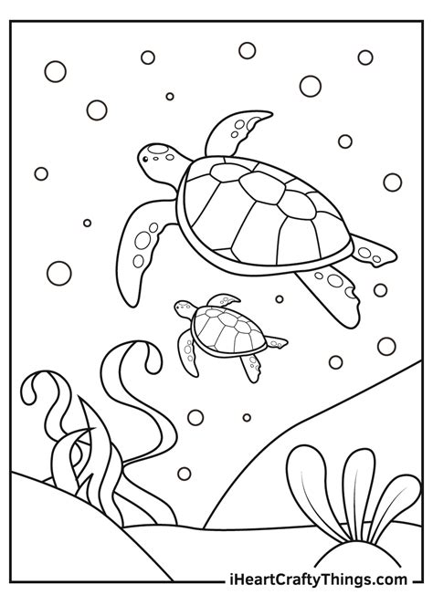 july coloring pages turtle
