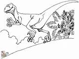 Deinonychus Dinosaurios Colorir Dinossauros sketch template