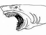Shark Jaws Sharks sketch template