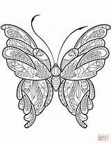 Coloring Butterfly Zentangle Pages Printable sketch template