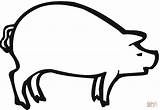 Pig Coloring Sow Drawing Pages Outline Printable Outlines Clipart Color Smiling Supercoloring Gif Version Clip Getdrawings Categories sketch template