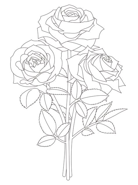 薔薇（バラ）／夏・6月の花【無料印刷できる高齢者向け塗り絵】｜明日の介護をもっと楽しく 介護のみらいラボ（公式）