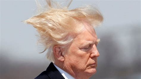donald trump wrote       taxes  hair styling pics