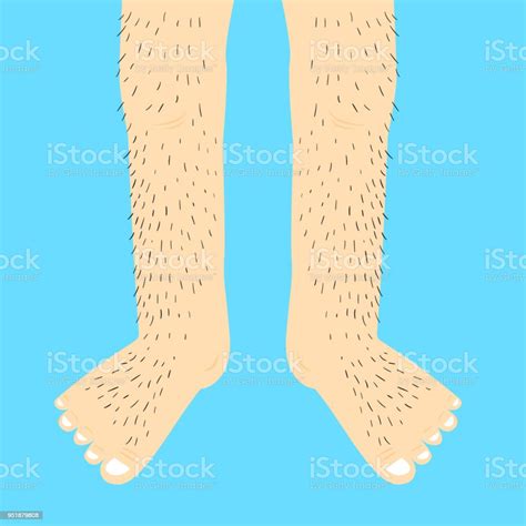 Hairy Legsvector Illustration Stock Illustration Download Image Now