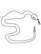 Slangen Snakes Mewarnai Ular Serpenti Colorare Serpents Animasi Coloriages Bergerak Tuyaux Schlangen Animierte Animaties Bewegende Slang Animaatjes Malvorlagen Ausmalbilder Kartun sketch template