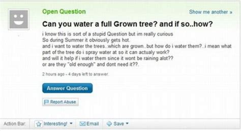 wtf yahoo answers this or that questions answers