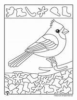 Cardinal Preschool Coloring Bird Winter Hidden Worksheet Worksheets Kids Printable Pages Spy Numbers Find Activities sketch template