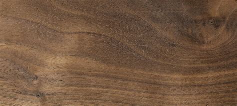 american black walnut temperate hardwoods palmer timber