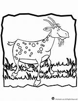 Coloring Goat Pages Kids sketch template