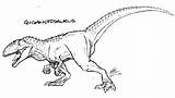 Giganotosaurus Jurassic Rex Dinosauri Saurian Sketcher Spinosauro Giganotossauro Colorir Tirannosauro Velociraptor Imprimir Stampare sketch template