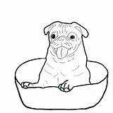 Pug Coloring Pages Pugs Baby Dog Outline Color Puppies Bowl Inside Happy Print Printable Drawing Boxer Getcolorings Dogs Outlines Colorluna sketch template