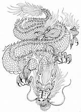 Traditional Drachen Drago Japanische Yakuza Giapponese Acupuncture Risultati Muso Samurai Tatuaggi Tats Vorlagen поиск Tatouage Drache Tung Draghi Coloriage Asiatischer sketch template