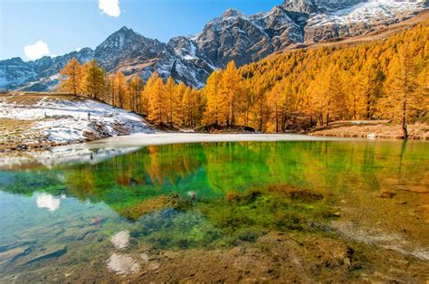 sfondi alberi paesaggio foresta autunno montagne italia lago acqua riflessione la