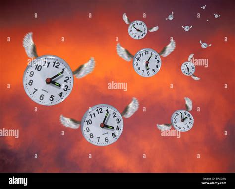 time flies  res stock photography  images alamy