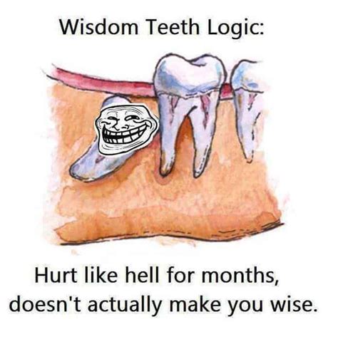 Top 21 Funniest Wisdom Teeth Memes Teeth Faq Blog