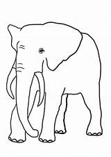 Elephant Coloring Color Pages Funny Clipartqueen sketch template