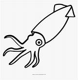 Squid Coloring Calamar Octopus Anchor Sea Tentacles Kindpng Tentacle Seekpng Clipground Webstockreview Clipartkey sketch template