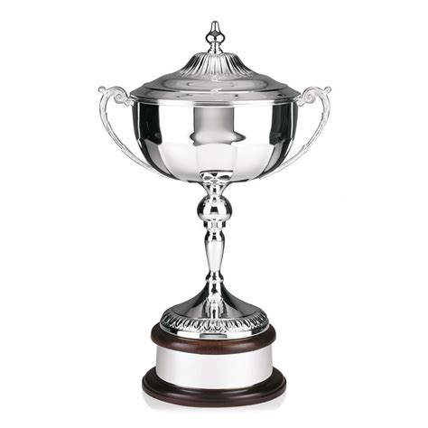 winners cup handchased awards trophies supplier