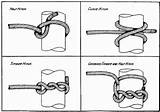 Knots Bends Knot Splices Hitch Half Clove sketch template