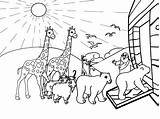 Noahs Noah Bible Entering Sheets Sunday Preschoolers Bestcoloringpagesforkids Coloringtop Pluspng sketch template