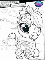 Coloring Pages Zebra Cute Baby Zebras Icon Pro Head Getdrawings Female Getcolorings sketch template