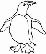 Kolorowanki Pingwiny Dzieci Kolorowanka sketch template