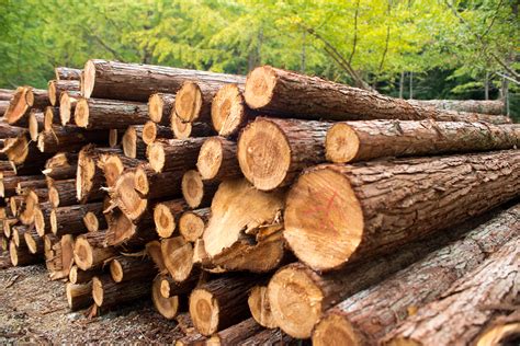 lumber   record highs nasdaqwood seeking alpha