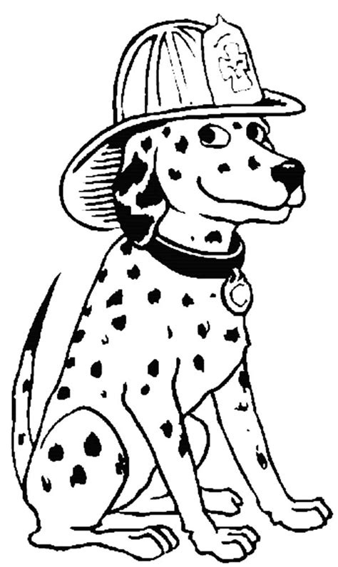 fire dog wearing firefighter helmet coloring pages kids play color
