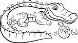 Alligator Cocodrilo Crocodile Cocodrilos Colorir Desenhos Bichos Jacaré Bichinhos Getdrawings Clipartmag Rainforest Dibujosonline sketch template