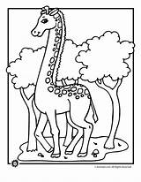 Giraffes Animaljr sketch template