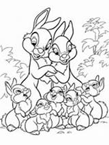 Bunnies Famille Realistic Conejos Coloriages Panpan Bambi Freecreatives Animados sketch template