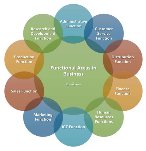 functional areas  business