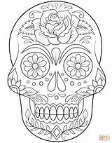 Coloring Skull Sugar Flowers Pages Printable sketch template